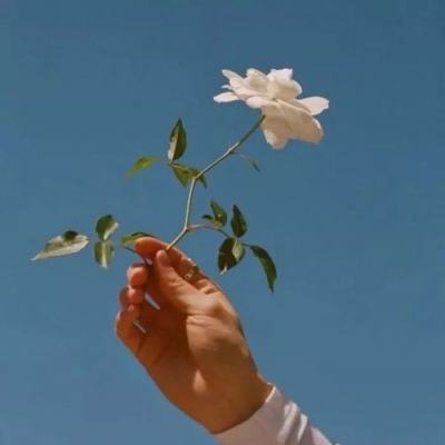 拜游超神游戏