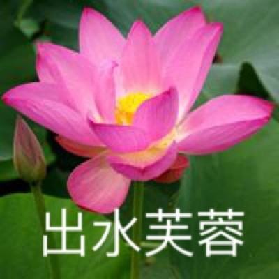 雄狮之心手游(暂未上线)v1.0 安卓汉化版